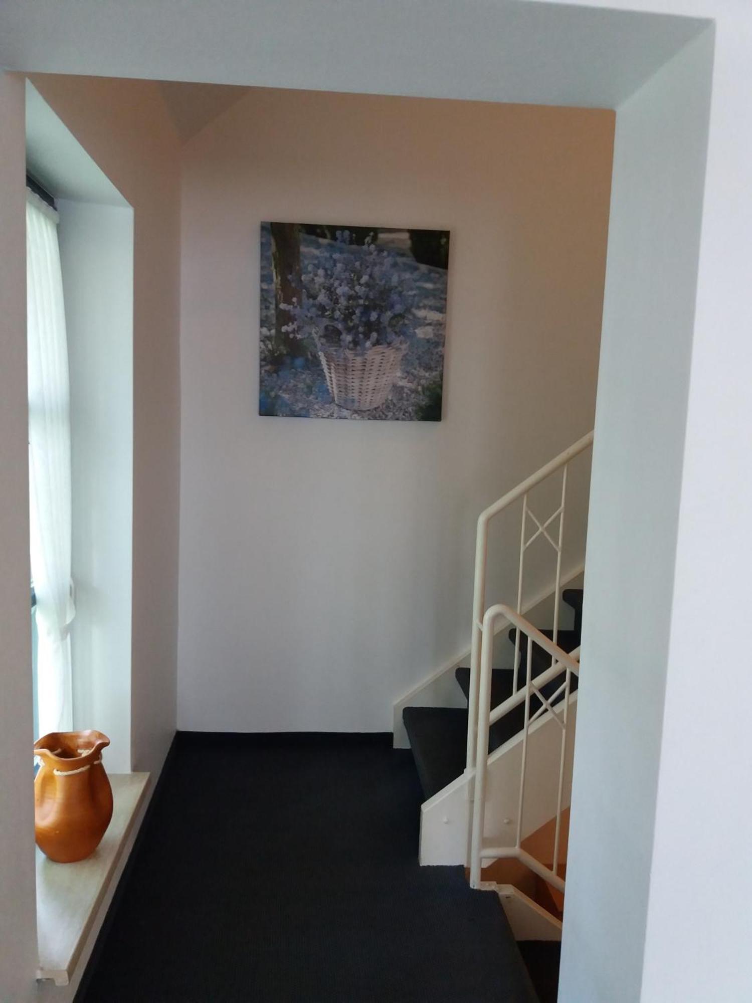 Haus Elsholz Willingen Apartment Willingen  Exterior photo